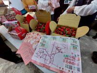 嘉縣太保「草莓採摘地圖」 串聯7家農場拚經濟
