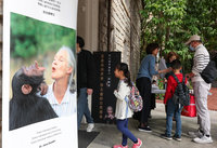 珍古德視死亡為一場冒險　唐獎專題影片台北首映