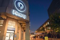 高雄青創基地「山林印記」展　柴山生態走入城市