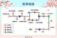 武陵櫻花季2/13起疏運管制　賞櫻專車預售已賣5成
