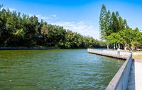 桃市整治永安漁港北岸　後湖溪生態園區2月試營運