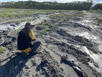 馬太鞍溪堰塞湖洪災農地修復  專案休耕申報至2/6