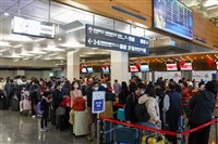 2025年網路投保　產險旅綜險193萬件居冠