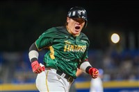 雄鷹捕手張肇元手肘韌帶將開刀　歸隊時間待評估