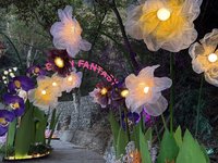 屏東奇幻大津點燈  周春米邀沉浸夜光森林之美