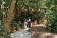 嘉市蘭潭好漢坡323階　裝置藝術「大白熊」陪慢遊