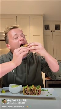 佛羅里達州急凍降「綠鬣蜥雨」　居民撿來做菜爆紅[影]