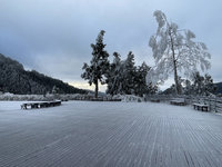 太平山現零下低溫  未下雪但可見霧淞美景