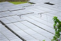 傳馬斯克團隊參訪太陽能台廠　業者：早布局太空商機