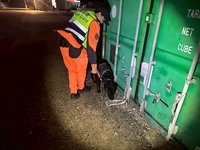 防走私、非洲豬瘟等　金門海巡岸海聯合威力掃蕩