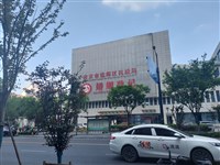 中國春節整頓網路　不准鼓吹不婚不育