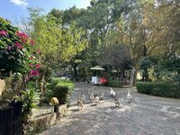 從社區營造到生態復育　花樹銀行種萬棵樹開分行