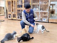 變身貓中途之家1日志工　張智倫籲認養不棄養