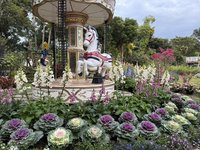 苗栗走春　白沙聖域串聯山海農遊軸線