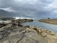 石梯坪發現硨磲貝  漁民串聯相關單位打造復育基地