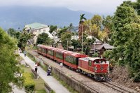阿里山林鐵「森里號」擬7月營運　豐富遊程