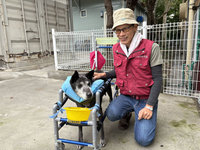 新北動保員拍片幫毛孩找家　製水管輪椅助重生