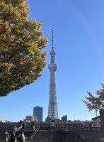 中日關係緊張　中國遊客赴日旅遊有壓力