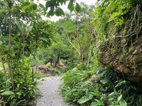 淡蘭古道慢旅　走進平溪紫東體驗生態秘境