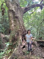 風雨操場與校樹要兩全　需專家統籌確保綠覆率