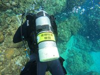 海委會加碼運動幣　潛水時守護海洋生態