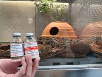 神秘「招待所」養六大毒蛇 扛起救命抗毒蛇血清堡壘