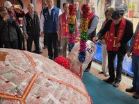 澎湖天后宮米包龜開光  信眾為縣長陳光復祈福