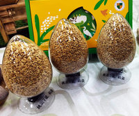 桃園農改場3款水稻品種　節水減碳省工各具特色