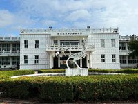 學測成績公布　台東女中2人獲55級分