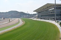 停擺近30年  廣州10月底重啟賽馬運動