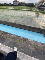 宜蘭農田水溝出現Tiffany藍　縣府環保局追查