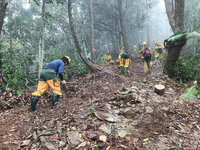 南投埔里林火復燃4天　降雨火勢獲控制