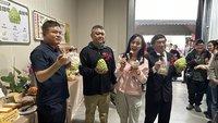農糧署挺台東鳳梨釋迦  提供配合加工業者專案貸款