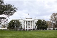 美國以色列打擊伊朗後　白宮：川普無計畫發表全國談話