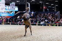 法國也瘋「火馬年」  黑騎士馬術團現身巴黎農業大展