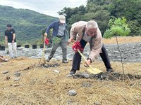 搶救台坂溪 農村水保署攜手企業等赴集水區種樹