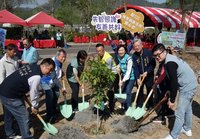 南投埔里種台灣梭羅木　盼保育類台灣爺蟬定居