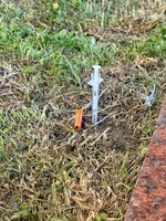 北市毒男著內褲於忠孝西路上奔跑  遭警逮捕送辦