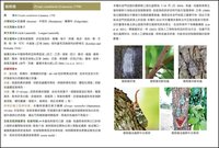 農試所出版金門昆蟲圖鑑  強化離島有害生物監測