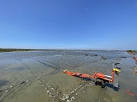 追趕海草消失速度　澎湖、台灣西南部建種原庫