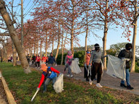 彰化木棉杜鵑齊放  多地推花季活動邀民眾共賞