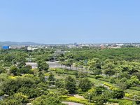 2027台灣燈會在苗栗　縣府：燈區設高鐵站周邊