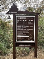 大鹿林道東線黑熊出沒　林保署籲登山客提高警覺
