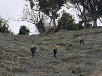 台23線2路段邊坡工程　3/19起陸續交管