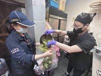 花蓮稽查早餐業　1業者食材逾期罰6萬元