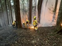 中南部6縣市林火風險升高　部分達警告至危險等級