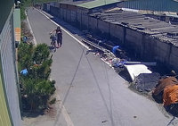 彰化婦遭3犬咬百處傷口　家屬籲重視遊蕩犬問題