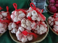 農糧署赴雲林說明大蒜產銷穩定措施  達成3共識