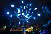 寶藏巖光節形塑夜間之城　藝術家以光回應環境