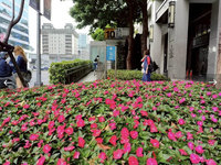 北市民間照護綠地逾10年385處　持續開放認養